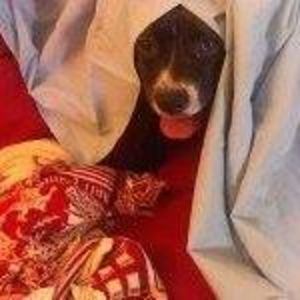 Meet your Posher, Jeff